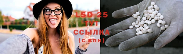 mdpv Нея