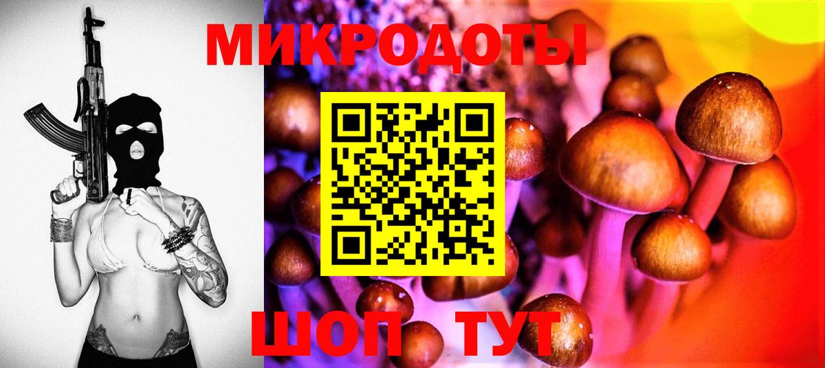 Галлюциногенные грибы Cubensis  Краснознаменск 