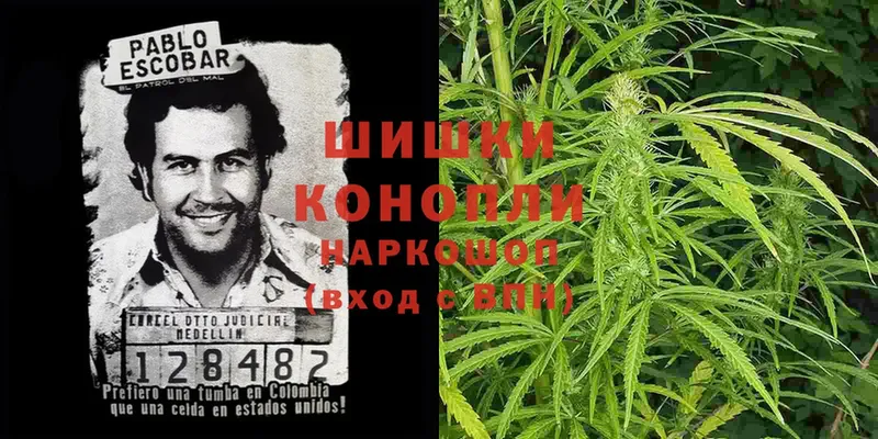 Бошки Шишки OG Kush  Краснознаменск 